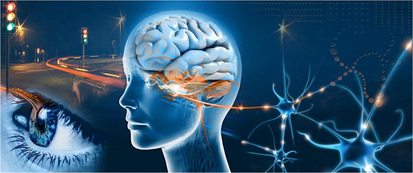 Counselling, Psychotherapy and Clinical Psychology255