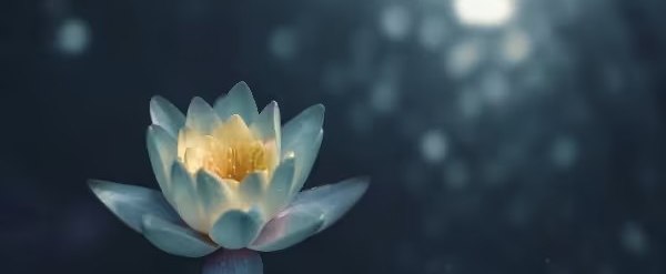 Reconnect to You307